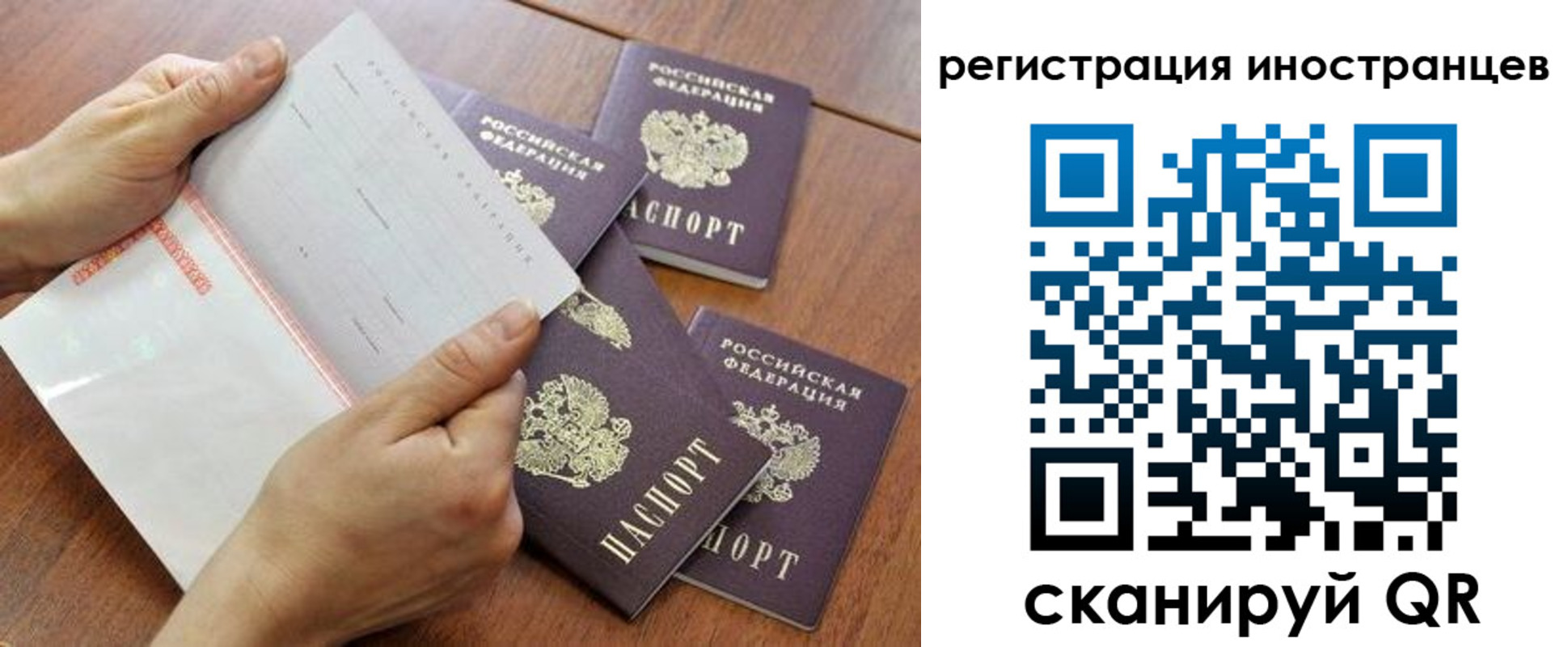 прописка поиск в Каменке